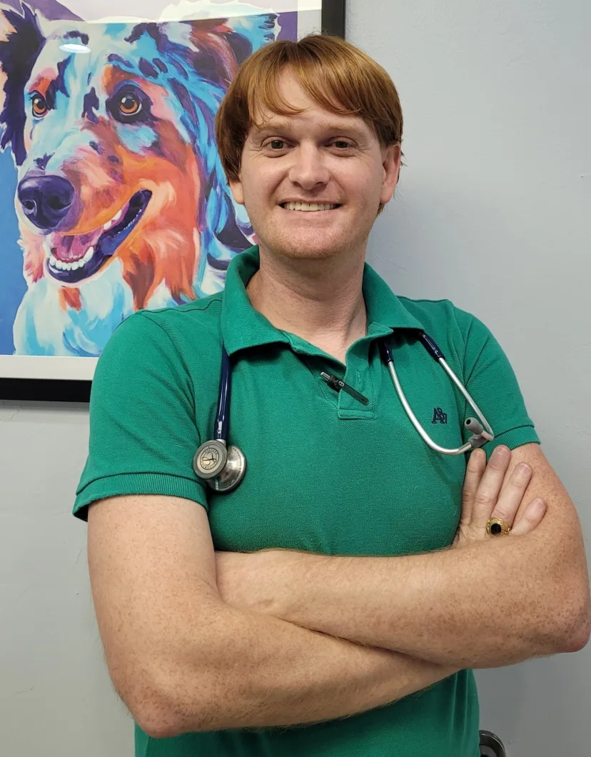 Countryside Animal Hospital Dr. Pringle examining a black dog.